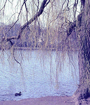 Dobbenteich um 1990 © Stadtmuseum Oldenburg