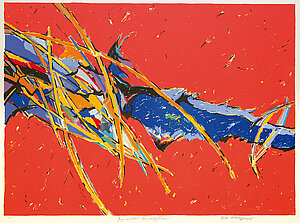 Bodo Olthoff, Bugwelt - Sonnensegler, Farblithografie, 2000