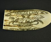 Gravierter Walrosszahn mit Schriftzug "Whaler Lion". um 1827, Foto: Stadtmuseum Oldenburg