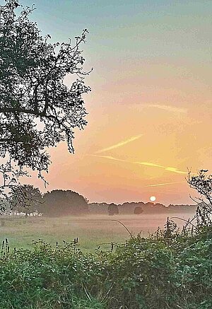 Everstener Moor bei Sonnenaufgang © Martin Klostermann