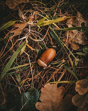 © Katie Azi/Unsplash