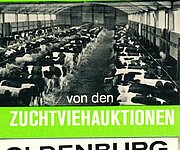 Streichholzbrief mit Reklameaufdruck der Oldenburger Herdbuch-Gesellschaft (Innenseite), 1960-1970er Jahre. Foto: Stadtmuseum Oldenburg